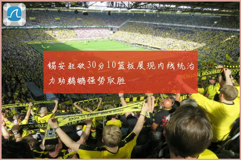 锡安狂砍30分10篮板展现内线统治力助鹈鹕强势取胜