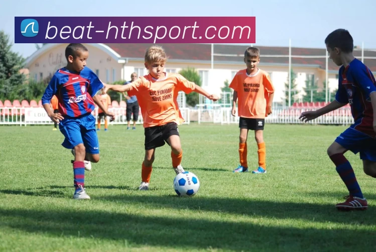 hth体育APP 封面图